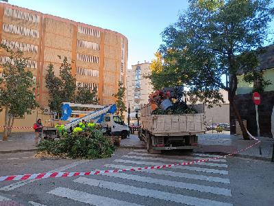 "Era realmente peligroso" F Romero, Solidaridad