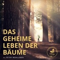deutschland film liste 2020