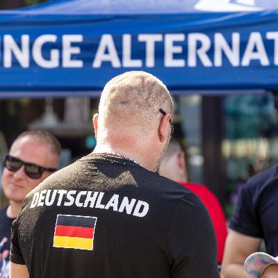 AfD und die Demokratie - Ab wann man ein Verfassungsfeind ist