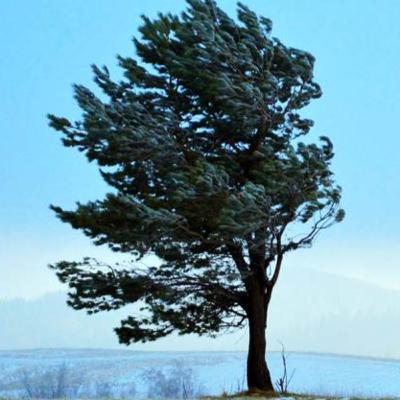 O Wichrze i Juhasie co na siły się mierzyli - Polskie legendy / Video na Spotify O Wichrze i Juhasie co na siły się mierzyli - Polskie legendy / Video na Spotify