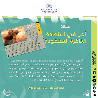 مقالة : أمل في استعادة الذاكرة المفقودة