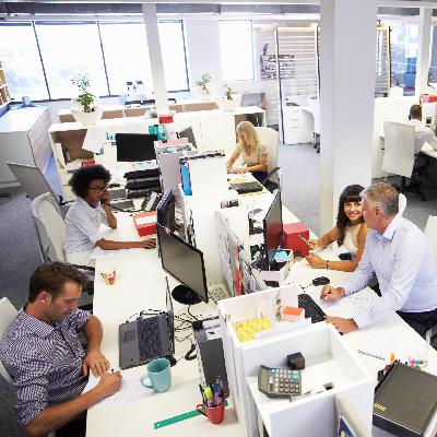 Politologin - Rassismus am Arbeitsplatz sofort sanktionieren