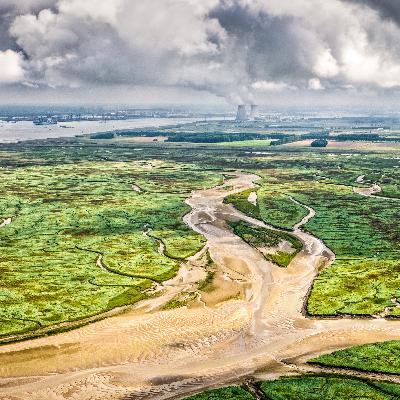 De zee als bondgenoot bij kustbescherming. Met Tjeerd Bouma De zee als bondgenoot bij kustbescherming. Met Tjeerd Bouma