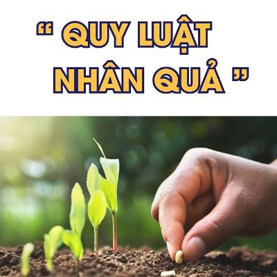 Quy luật nhân quả là gì? - Câu chuyện nhân quả
