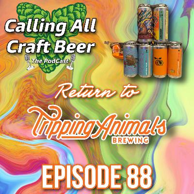 Return to Tripping Animals!!