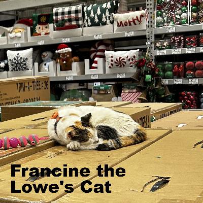 The Lowe's Cat That Went Viral: Francine's Ninety Mile Adventure The Lowe's Cat That Went Viral: Francine's Ninety Mile Adventure
