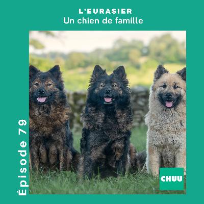 # 79 L'EURASIER - Un chien de famille