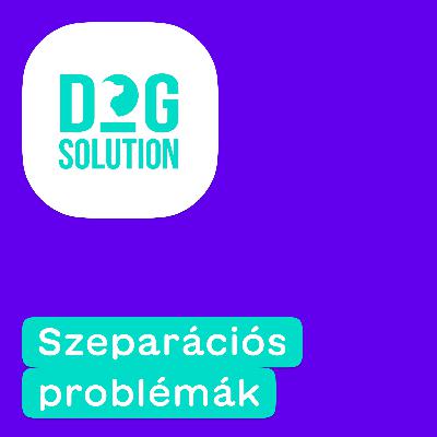 Dog Solution #05 - Szeparációs problémák