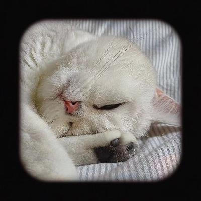 159 @是小美呀：世间仙子 七岁欢喜