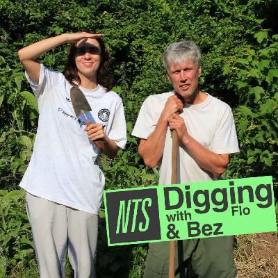 Bez