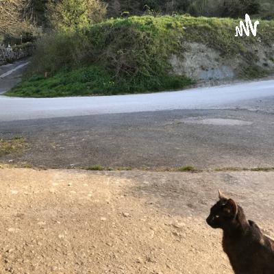 Podcast/ Proba (ETIKA)