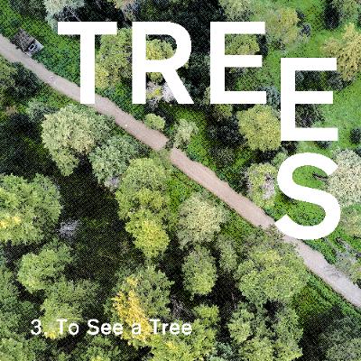 Trees - Episode 3 - To See a Tree