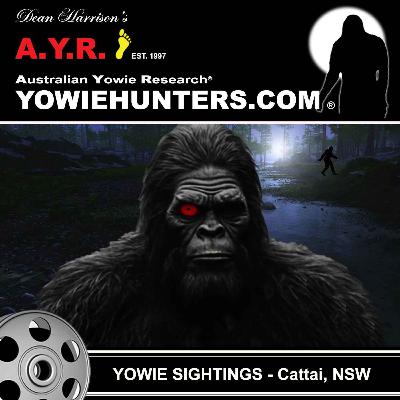 Yowie Sightings at Cattai, NSW 2017