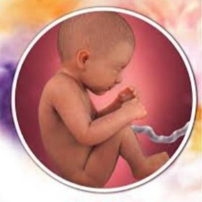 10 pertanyaan yang wajib disampaikan saat periksa kehamilan pertama ke bidan/dokter kandungan