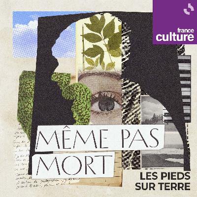 Même pas mort 1/7 : Un petit matin d'octobre