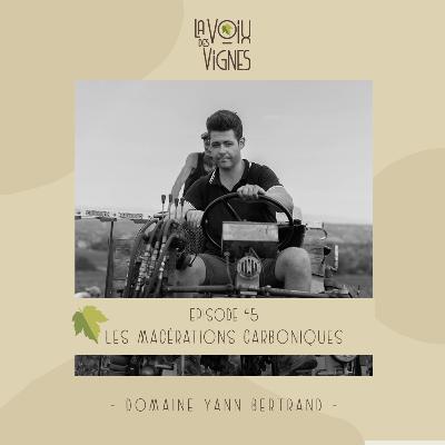 Yann Bertrand - La macération carbonique