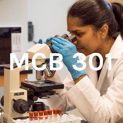 College-Lab Survival Guide