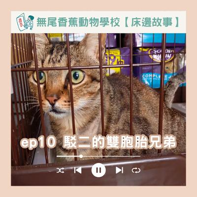 【床邊故事】EP10 駁二的雙胞胎兄弟