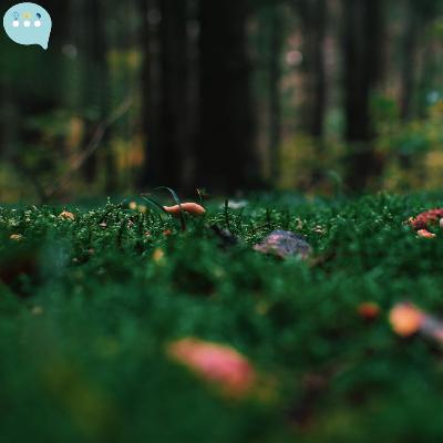 In broken hearts, are Treasures|في القلوب الكسيرة كنوز In broken hearts, are Treasures|في القلوب الكسيرة كنوز