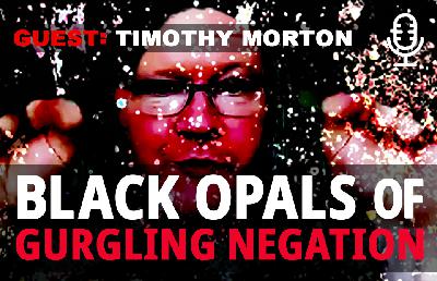 Timothy Morton: Black Opals of Gurgling Negation