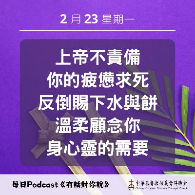 20260223在羅騰樹下