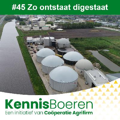 #45 Zo ontstaat digestaat
