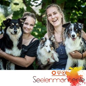 Folge 55 - Spezialisierung (Fot)