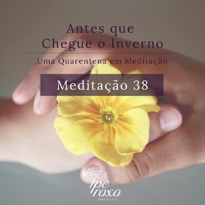 Meditação 38 - Resoluções de pós-isolamento