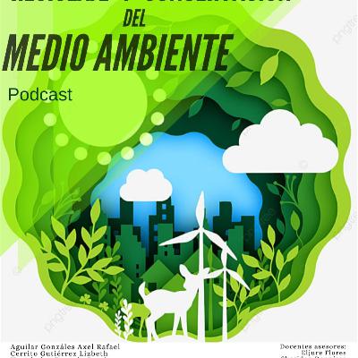 Reciclaje y Conservación del medio ambiente