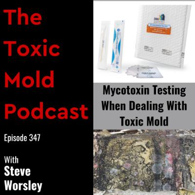 EP 347: Mycotoxin Testing When Dealing With Toxic Mold EP 347: Mycotoxin Testing When Dealing With Toxic Mold