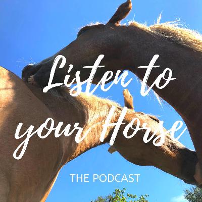 Deeper Listening: Balancing Between Physical vs Spiritual Horse