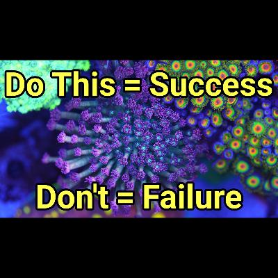 How to Make Reefkeeping Easy | The Prestige Reef Dork Show Ep 114 How to Make Reefkeeping Easy | The Prestige Reef Dork Show Ep 114