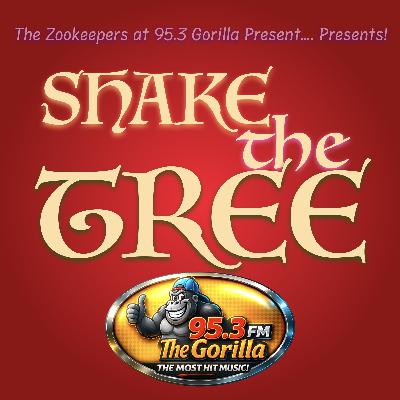 More Money, Bigger Presents & Jonas Brothers Tickets! More Money, Bigger Presents & Jonas Brothers Tickets!