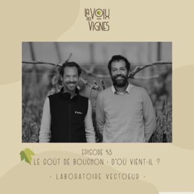 Laboratoire Vectoeur - D'où vient le goût de bouchon ?