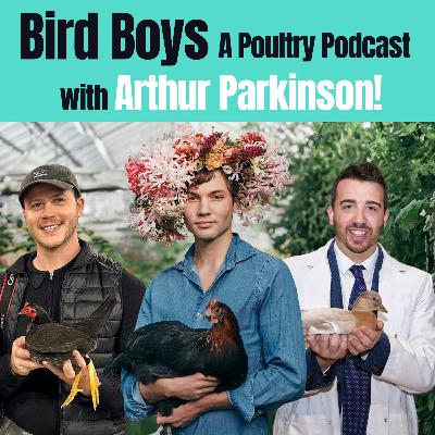 Chicken Chat with Arthur Parkinson!