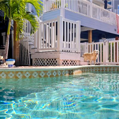 This episode 66 is a review of the Snafels Traverse and the hurricane Ian that decimated FMB This episode 66 is a review of the Snafels Traverse and the hurricane Ian that decimated FMB