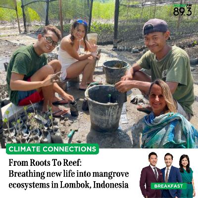 Climate Connections: From Roots To Reef - Breathing new life into mangrove ecosystems in Lombok, Indonesia