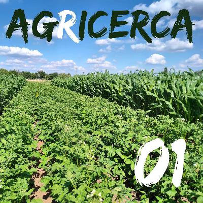 01 - Pesticidi e consociazioni con Paola Cassiano 01 - Pesticidi e consociazioni con Paola Cassiano