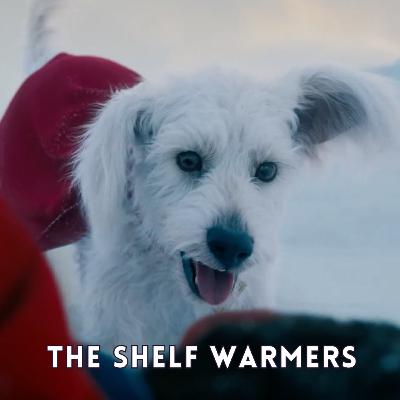 Superman Teaser Trailer Reaction! Superman Teaser Trailer Reaction!