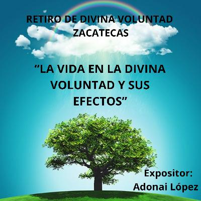 39. Sn Jn. 15:5 Niveles de unidad del alma con Dios