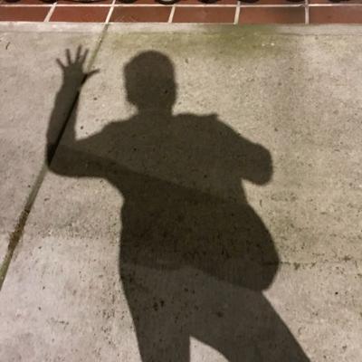 Julio Cortázar: Historias de Cronopios y Famas, Lo particular y universal