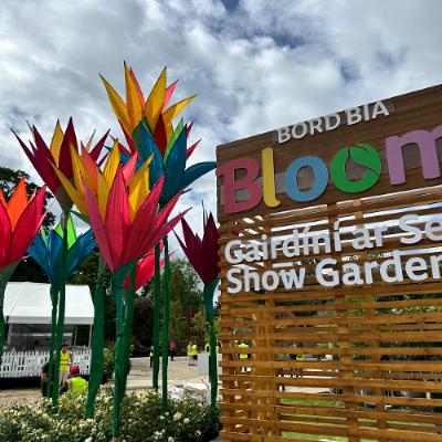 Mark Gregory judging at Bord Bia Bloom in Dublin