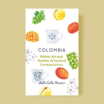 Colombia Rafael Amaya Geisha Extended Fermentation / コロンビア ラファエル アマジャ エクスペンディド ファーメンテーション
