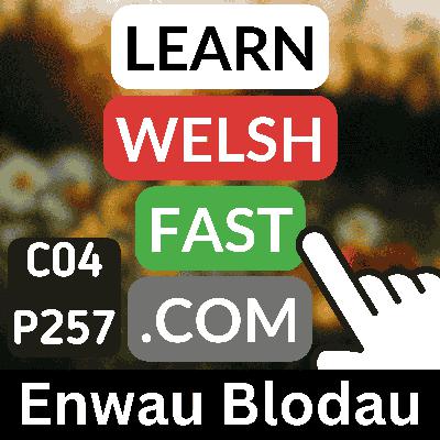 c04p257 (s04e257) - Enwau Blodau (Flower Names) c04p257 (s04e257) - Enwau Blodau (Flower Names)