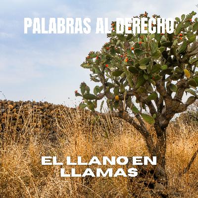 El llano el llamas