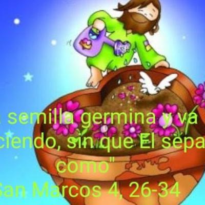 Episodio #024 - Evangelio de Marcos 4, 26-34
