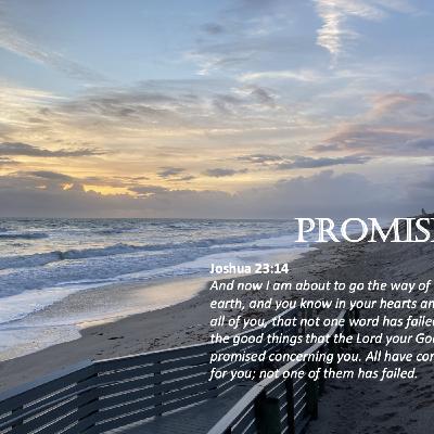 Episode 137: Promise #137 - Promised