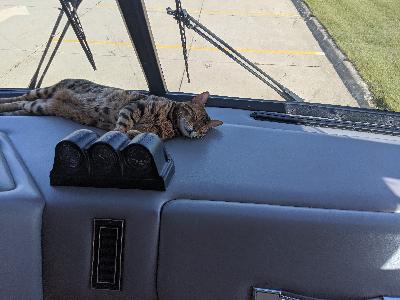 Day 470. August 19, 2020. Silver Lake Iowa.