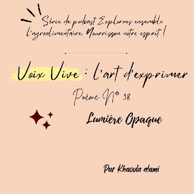 Poème N°38 : Lumière Opaque