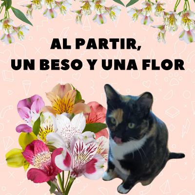 Al partir, un beso y una flor
